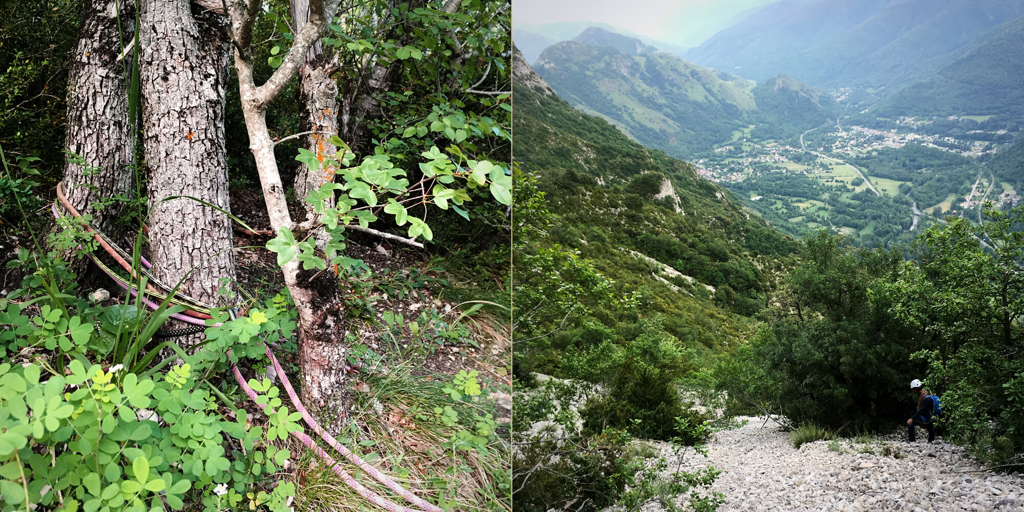 Chercher un relais sur un arbre au milieu de nulpart